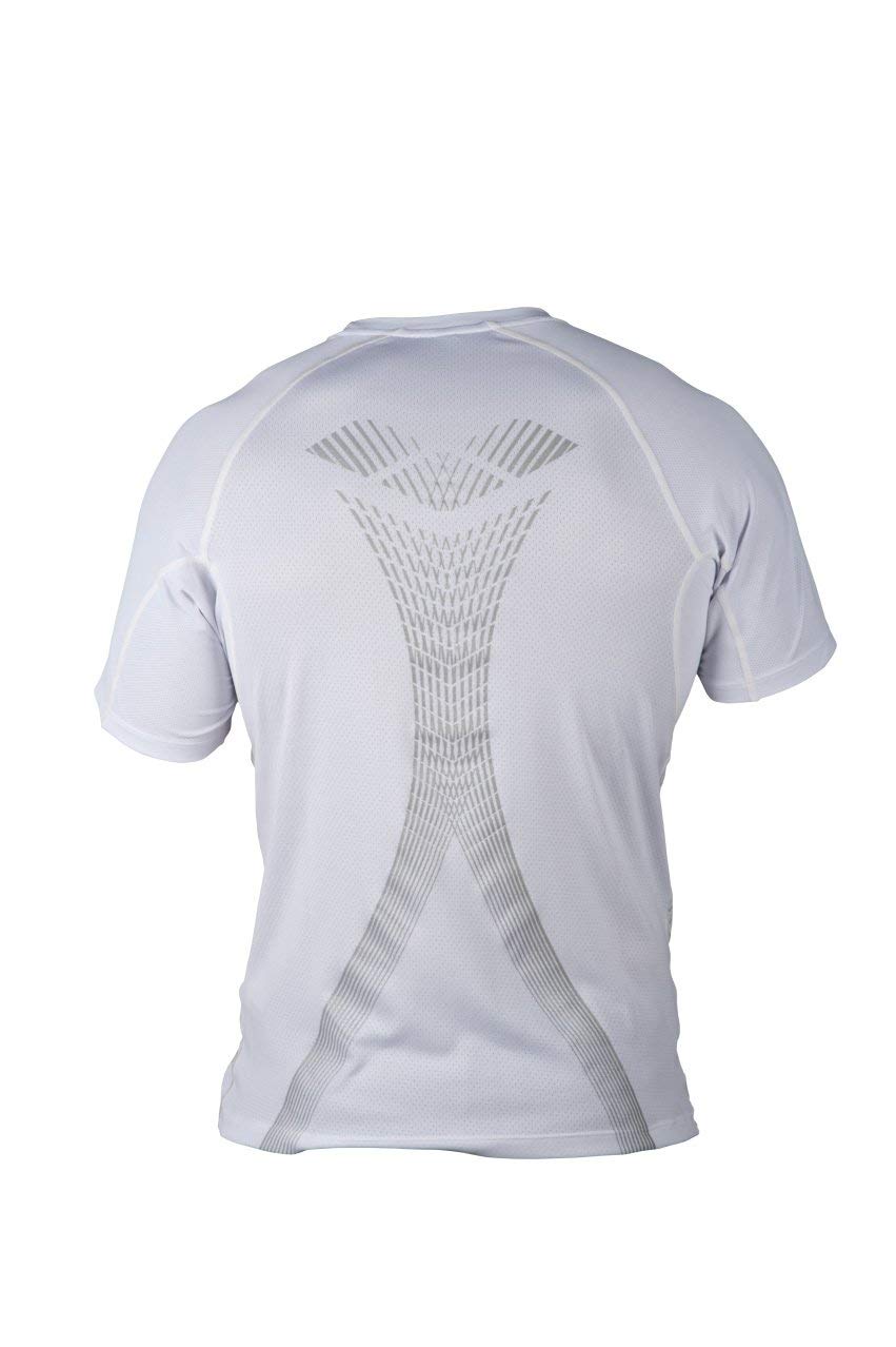 arena-m-run-s-s-panel-maglia-uomo-maniche-corte image 2
