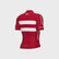 al-cycling-maglia-manica-corta-uomo-federazione-danese-pro-team-replica image 2